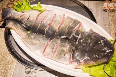 ​清江鱼和鲶鱼的区别 清江鱼和鲶鱼哪个好吃